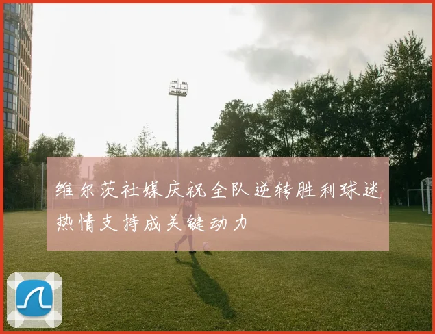 维尔茨社媒庆祝全队逆转胜利球迷热情支持成关键动力